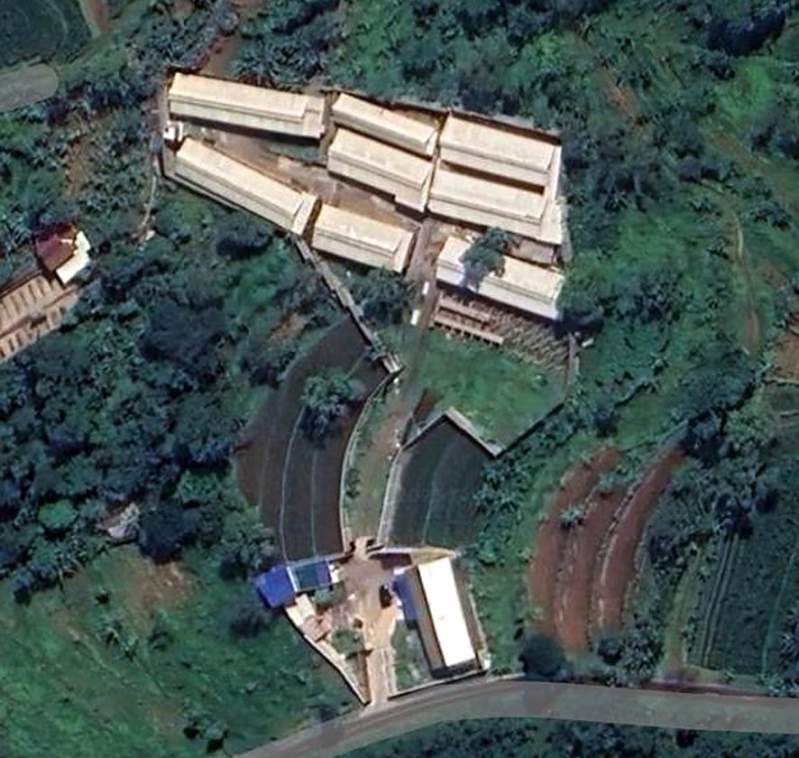 Tanah 4.000 m² untuk peternakan atau perkebunan